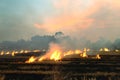 Burn dry straw in the field on the side of the road in Thailand Royalty Free Stock Photo