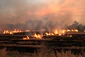 Burn dry straw in the field on the side of the road in Thailand Royalty Free Stock Photo