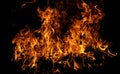 Burn effect pattern. Fire flames on black background. Burning fire backdrop. Blaze wallpaper. Abstract fire flame background. Fire Royalty Free Stock Photo