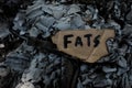 Burn fats concept. Burning paper with written word fat.