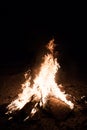 Burn fire with wood on beach camp Royalty Free Stock Photo