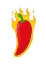 Burn hot angry evil chili pepper in fire