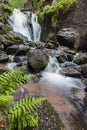 Burn O` Vat at the Muir of Dinnet in Scotland. Royalty Free Stock Photo