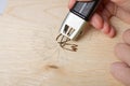 Burn out a drawing on a wooden board with an electric device with a scorcher Royalty Free Stock Photo
