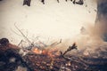 Burn refuse in nature, cleaning and waste incineration after the Royalty Free Stock Photo