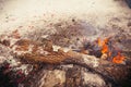 Burn refuse in nature, cleaning and waste incineration after the Royalty Free Stock Photo