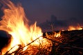 Burn rice stubble with flames