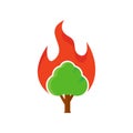 Burn Tree Logo Icon Design