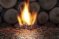 Burn wood pellet and trunks