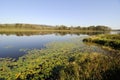 Burnaby Lake in Autumn