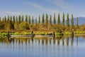 Burnaby Lake and lakeside