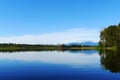 Burnaby Lake with Tree Reflection in Summer