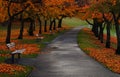 Burnaby Mountain fall colours Royalty Free Stock Photo