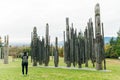 Burnaby Mountain Totem pole Vancouver, canada Royalty Free Stock Photo