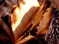 Burned book