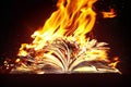 Burned book and fire.