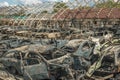 Burned cars Royalty Free Stock Photo
