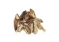 Burned and crumpled brown paper on white background Royalty Free Stock Photo