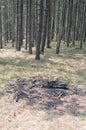 Burned fire place in forest