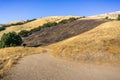Burned grass area on the golden hills of Mission Peak preserve, south San Francisco bay, California Royalty Free Stock Photo