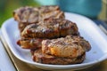 Burned Juicy Steaks barbecue Sizzle on with Salt and Black Peppers Royalty Free Stock Photo