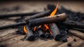 Burned matchstick amidst charred wood and ashes. Royalty Free Stock Photo