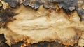 Burned Paper with Scorched Edges and a Blank Center Royalty Free Stock Photo
