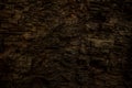 Burned Texture of Giant Sequoia Tree Royalty Free Stock Photo