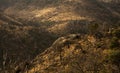 Burned Trees Dot The Cliffs Below Emory Peak Trail