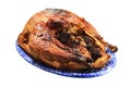 Burned turkey Royalty Free Stock Photo