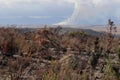 Burned veld with distant view of fire burning Royalty Free Stock Photo