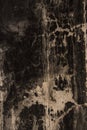 burned wall texture, grunge wall, black and white grunge background, rough black burned concrete wall background with whitewash