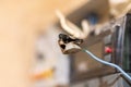 Burned wire, splicing connector, electrical terminal block of nonflammable, fireproof material. Faulty wiring or negligent Royalty Free Stock Photo