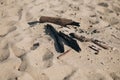 burned wood on the sandy beach