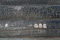 Burned wooden charred log house texture. closeup Royalty Free Stock Photo