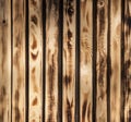 burned wooden texture