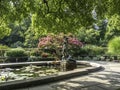 Burnett Fountain in summer