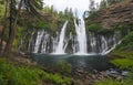 Burney Falls in Spring