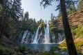 Trees and Flowing Water of Burney Falls in McArthur-Burney Falls Memorial State Park, California Royalty Free Stock Photo