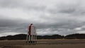 Burnham on sea low lighthouse Royalty Free Stock Photo