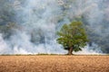 Burning of agricultural - White smoke from burning weeds on farmers fields Royalty Free Stock Photo
