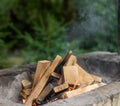 Burning ÃÂampfire wood on brazier Royalty Free Stock Photo