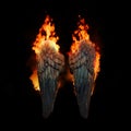 Burning angel dragon wings, dark atmospheric mood, fantasy background