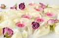 Burning aroma candles, dried roses and petals background Royalty Free Stock Photo