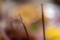 Smoke From Burning Incense Sticks Royalty Free Stock Photo