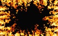 burning banner hot frame yellow fire flame black Royalty Free Stock Photo