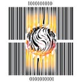 Burning bar code Royalty Free Stock Photo