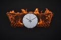 burning bird wings with clock on a black background