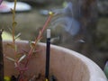 Burning black incense Royalty Free Stock Photo