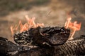 Burning Log Wales, Cymru Royalty Free Stock Photo